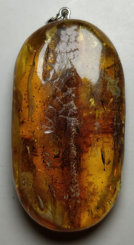 Medallion pendant natural stone amber Kaliningrad