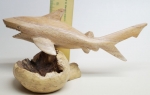 Wooden Mushroom Shark Handmade