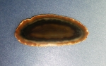 Natural Stone