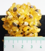 Bracelet amber