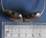 Bracelet Natural Buffalo Horns and Hoofs