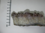 Stone Amethyst