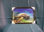 Picture Turtles 3D