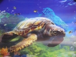 Picture Turtles 3D