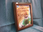 Picture Leopard 3D