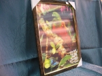 Picture Parrots 3D