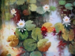 Picture Water Lilies