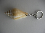 Keychain Rapana