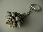 Keychain Rapana