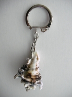 Keychain Rapana