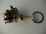 Keychain Rapana