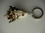 Keychain Rapana