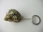 Keychain Rapana