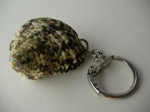 Keychain Rapana