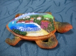 Turtle magnet