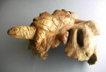 Turtle from wood