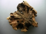 Turtle from wood
