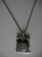 Medallion buch