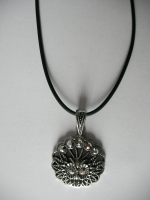 Medallion buch