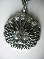Medallion buch