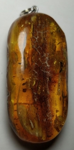 Medallion pendant natural stone amber Kaliningrad