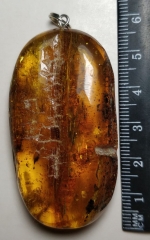 Medallion pendant natural stone amber Kaliningrad