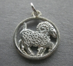 Medallion ARIES ♈