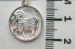 Medallion ARIES ♈