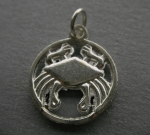 Medallion CANCER ♋