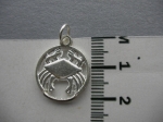 Medallion CANCER ♋