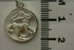 Medallion SAGITTARIUS ♐