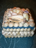Shell box