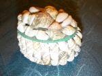 Shells box for jewelry