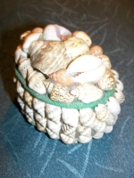 Shells box for jewelry
