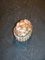 Shells box for jewelry