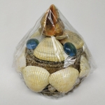 Shells box