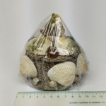 Shells box