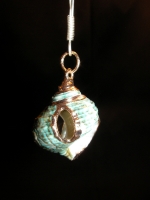 Earrings shell