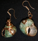 Earrings shell