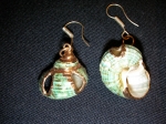 Earrings shell