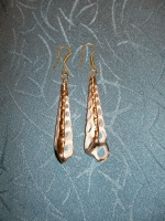 Ocean shell earrings