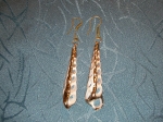 Ocean shell earrings