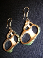 Ocean shell earrings