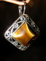 Earrings tiger's eye