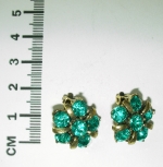Earrings clip