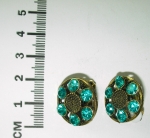 Earrings clip