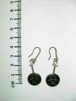 Earrings Biom