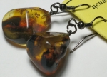 Earrings natural amber