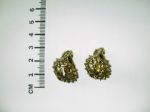 Earrings clip