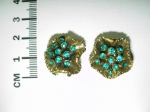 Earrings clip